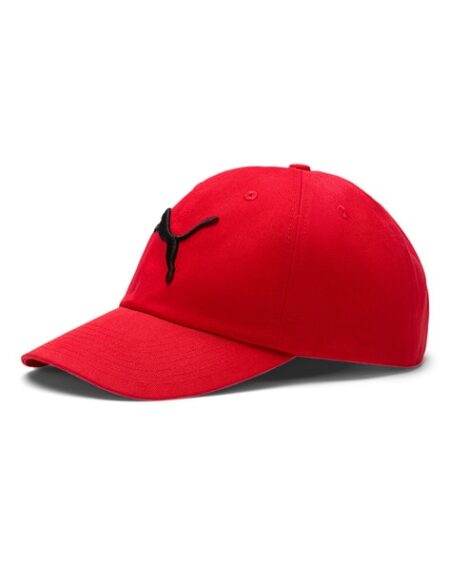 PUMA Men Baseball Cap