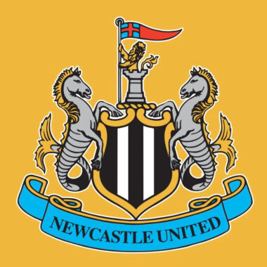 Newcastle football jersey online