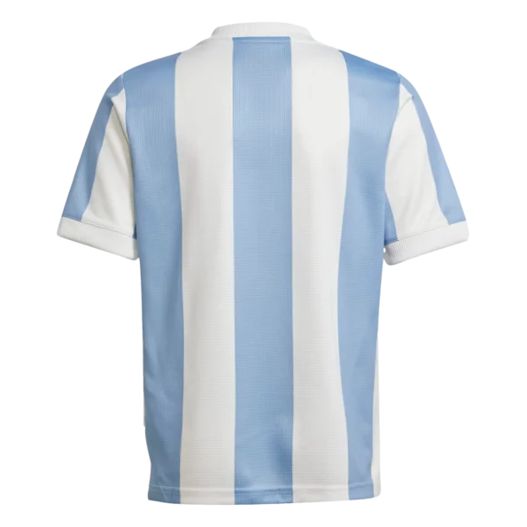 argentina jersey